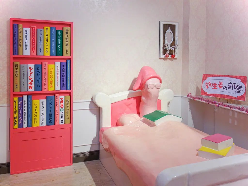 💖 이와시타 햇생강 박물관 (이와시타노 신쇼가 뮤지아무) 이미지 7